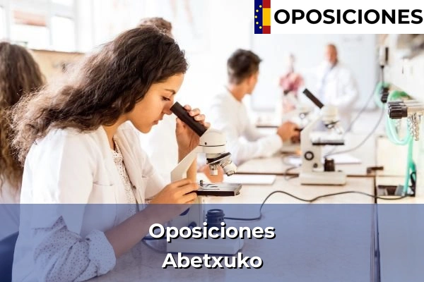 Oposiciones en País Vasco 125 Oposiciones en Abetxuko