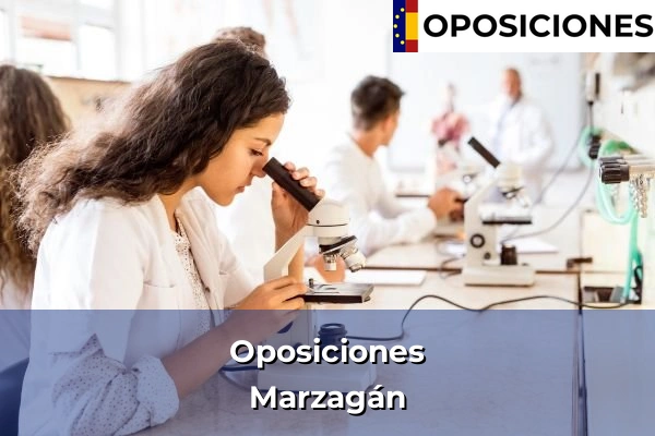 Oposiciones en Canarias 77 Oposiciones en Marzagán